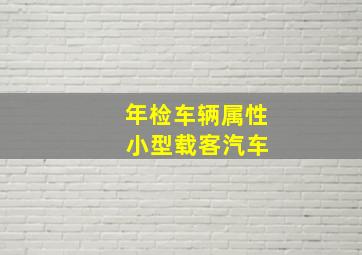 年检车辆属性 小型载客汽车